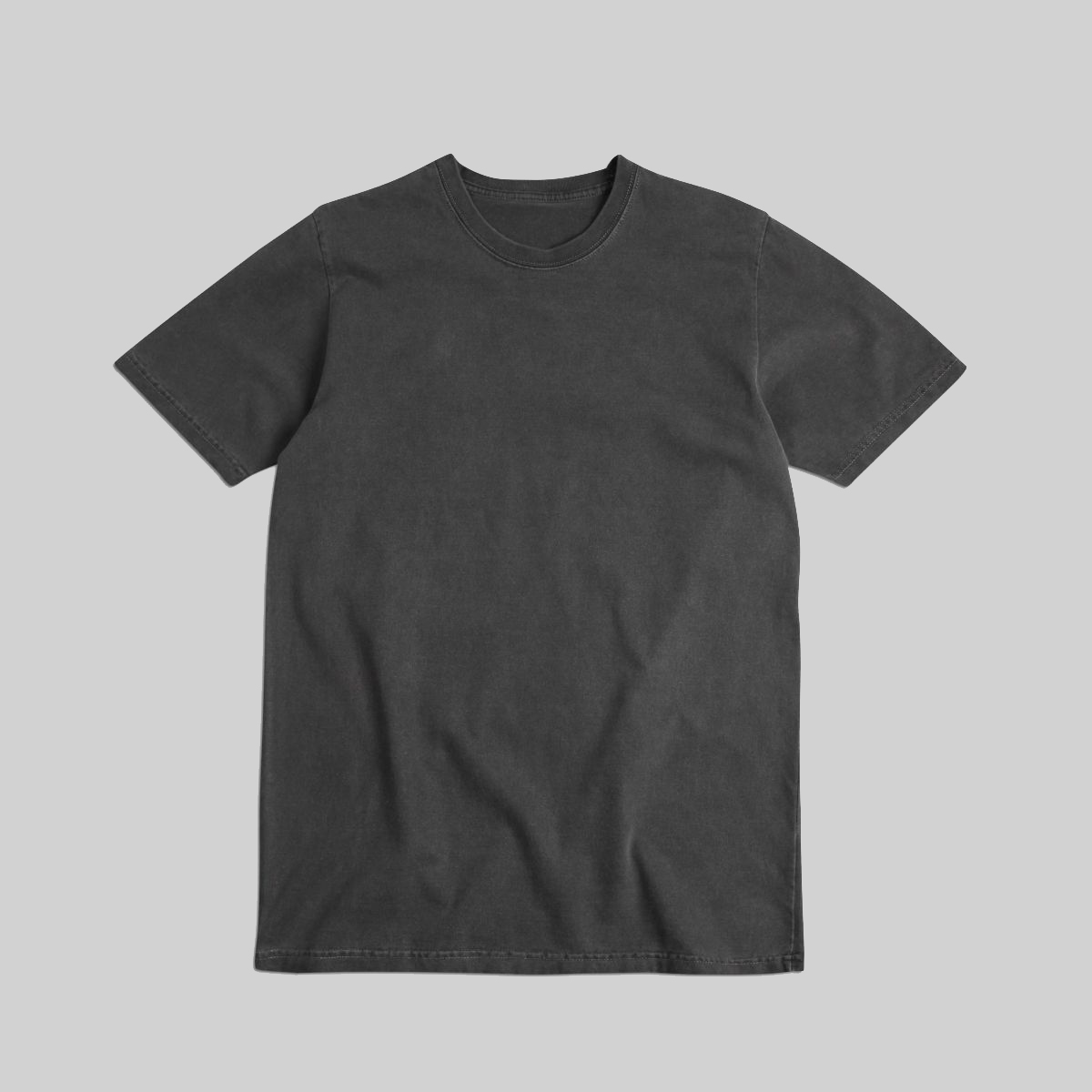 1009 HEAVYWEIGHT T-SHIRT [Pigment Dyed]